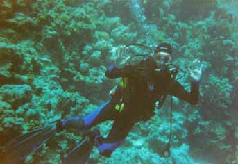 Sharm El Sheikh - Yolanda Reef